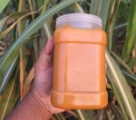 আখের গুড় (ঝোলা দানাদার)